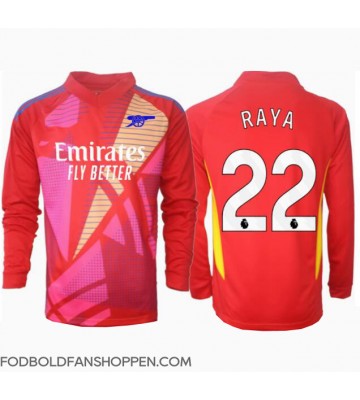 Arsenal David Raya #22 Målmand Udebanetrøje 2024-25 Langærmet